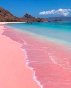 Pantai Pink, Lombok